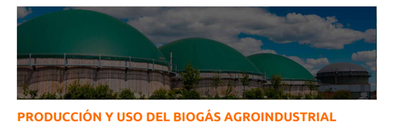  PRODUCCIÓN Y USO DEL BIOGÁS AGROINDUSTRIAL (Fechas: del 11 al 12.05.2023)